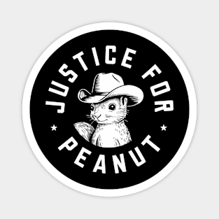 Justice For Peanut P’nut PNut Squirrel Lover, The Squirrel, Funny Peanut Squirrel Magnet
